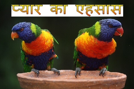 Love feeling love stories in hindi.jpg